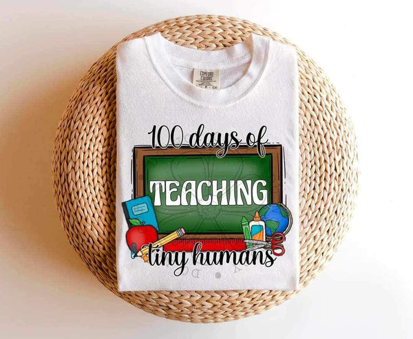 100 days of teaching tiny humans (four designs) 21283 DTF transfer