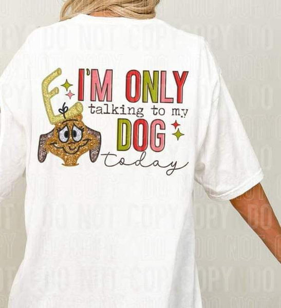 I’m only talking to my dog today (multi color font with sequin max) 11988 DTF Transfer