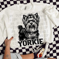 Yorkie BLACK (SWD) 21439 DTF transfer