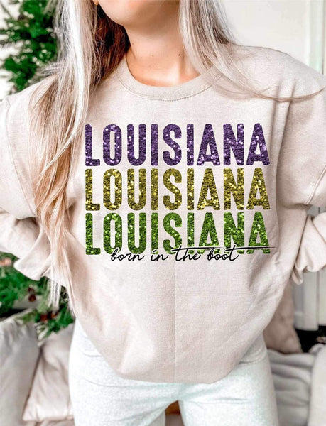 Louisiana stacked Mardi Gras colors (WSB) 21569 DTF transfer