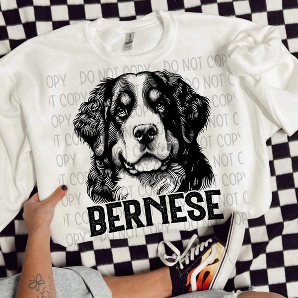 Bernese BLACK (SWD) 21635 DTF transfer