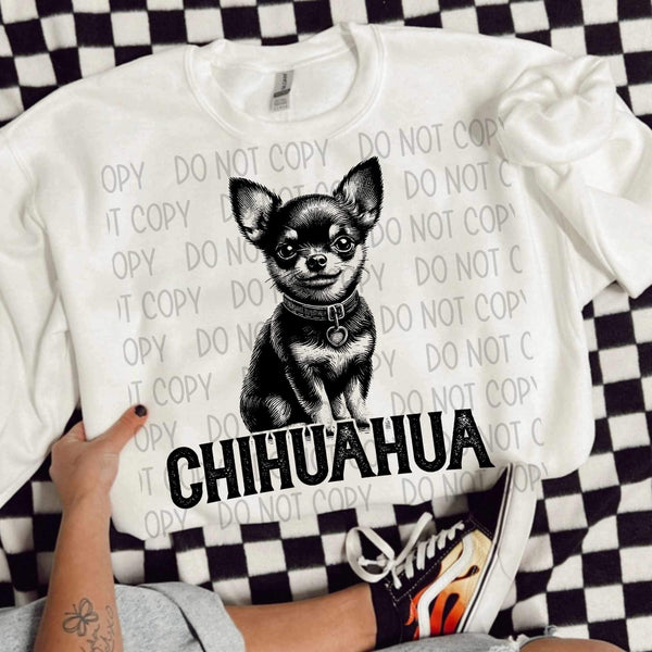 Chihuahua BLACK (SWD) 21630 DTF transfer