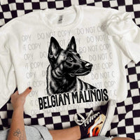 Belgian malinois BLACK (SWD) 21627 DTF transfer