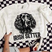 Irish setter BLACK (SWD) 21624 DTF transfer