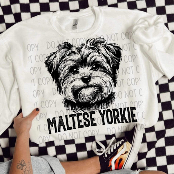 Maltese yorkie BLACK (SWD) 21661 DTF transfer