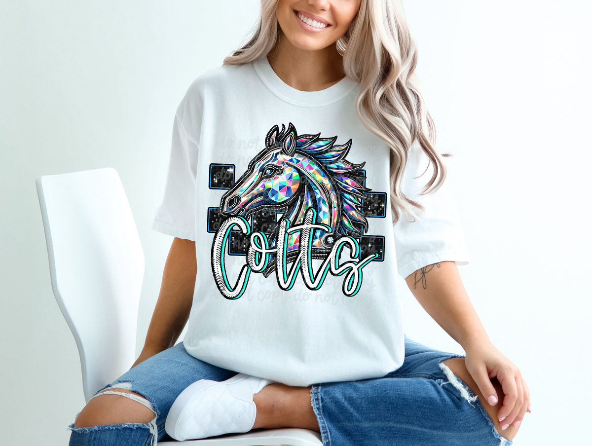 Colts (balls) (C's) DTF transfers