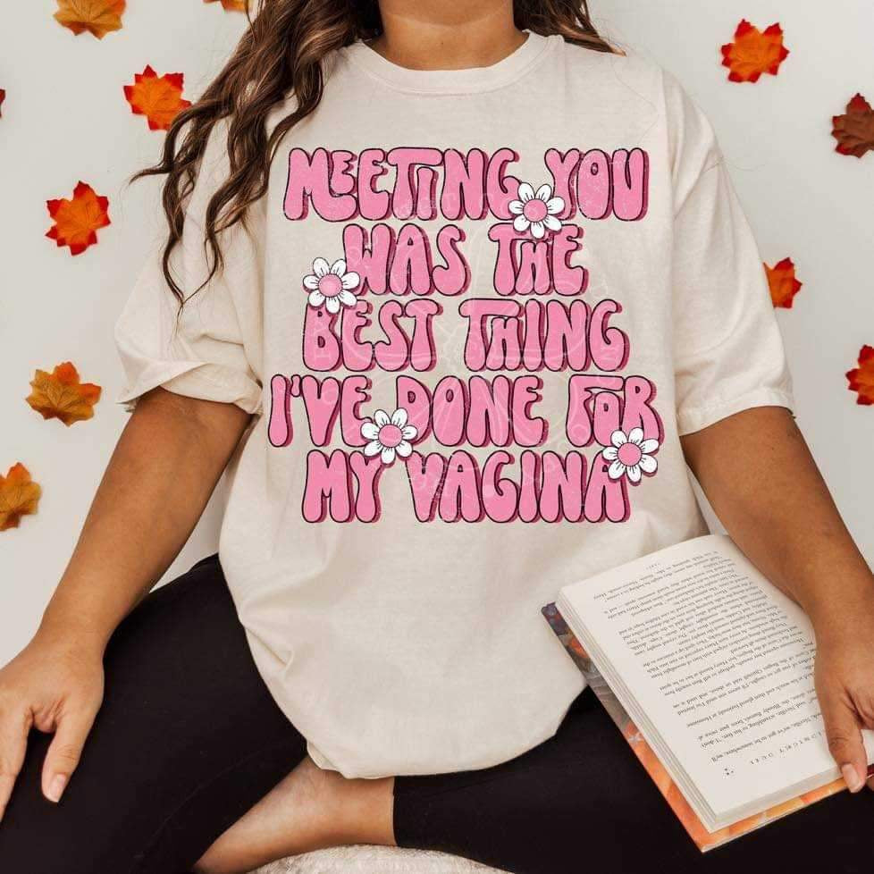 Meeting you was the best thing I’ve done for my vagina (lyttle) 34464 DTF Transfer