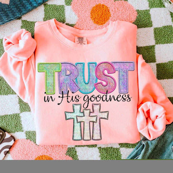 Trust in his goodness 32087 DTF transfer