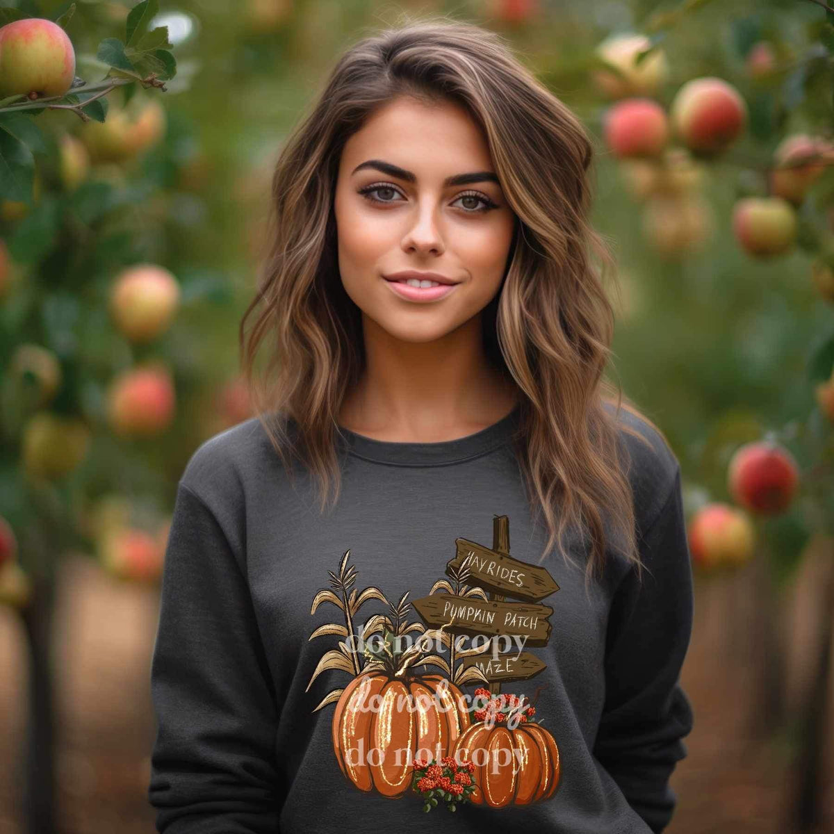 Hayrides Pumpkin patch maze 2976 DTF TRANSFER