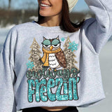 Owlways freezing (sequin with blue font, trees, owl, snowflakes) 11760 DTF transfer