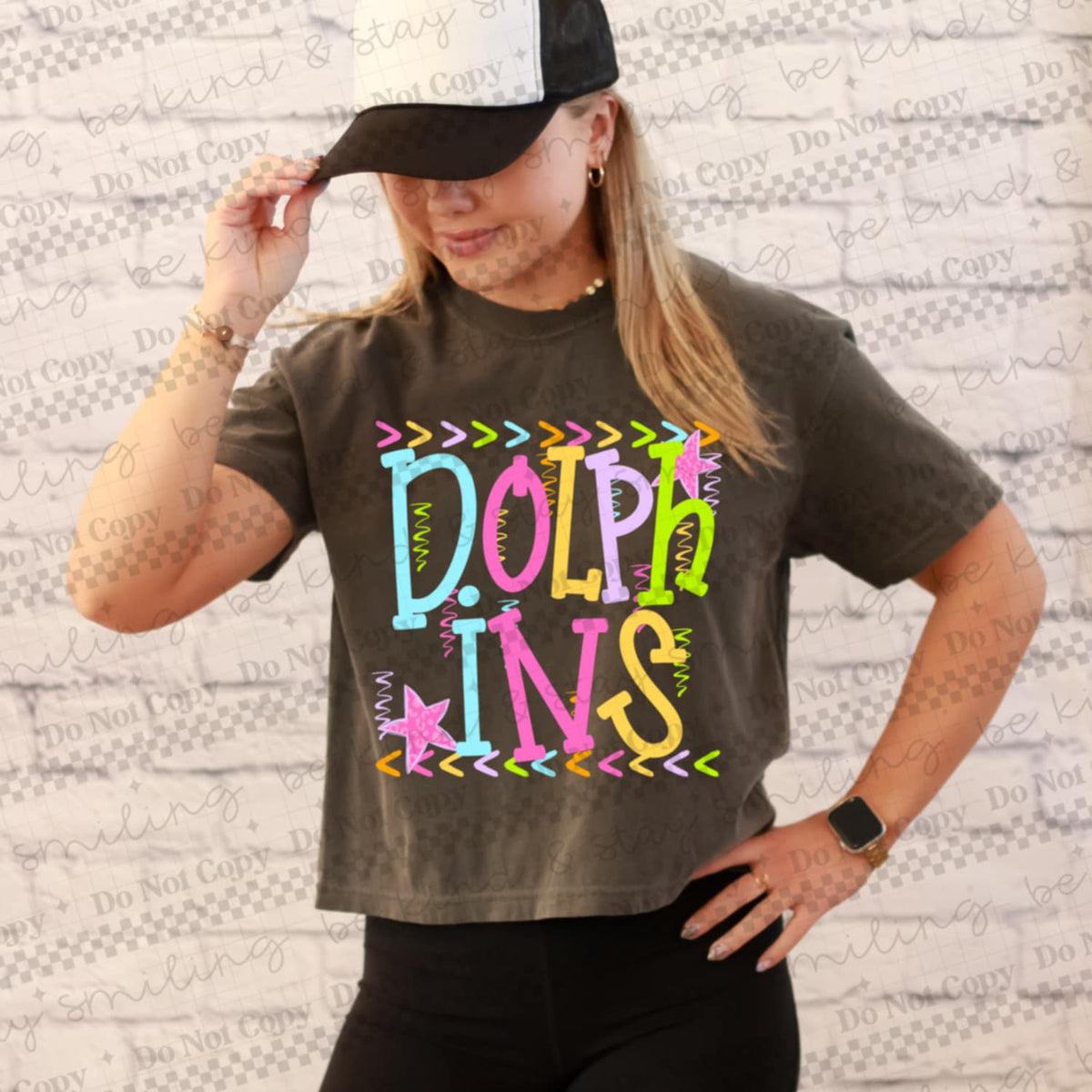 Dolphins rainbow arrows mascot CMLD DTF transfer