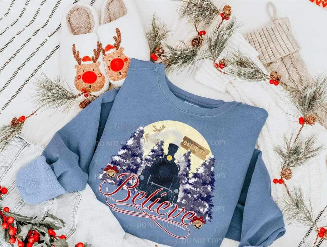 Believe (train, ticket, trees, moon) 15133 DTF Transfer