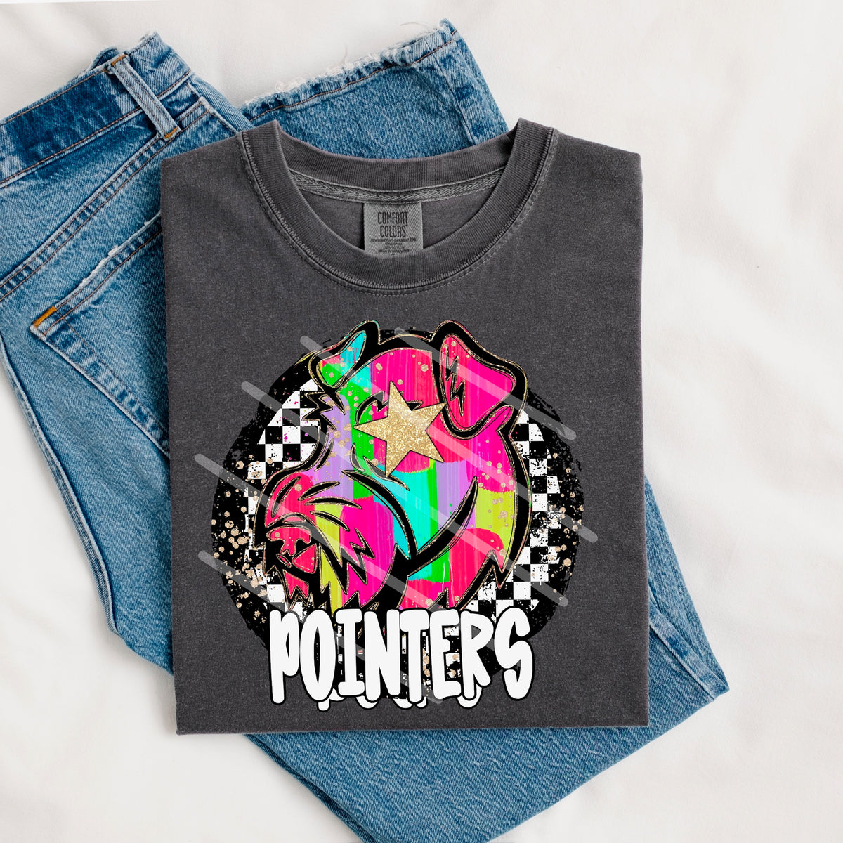 Pointers Mascot rainbow checker circle (county line) 111035 DTF transfer