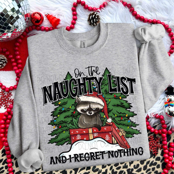 On the naughty list raccoon (SW) 70319 DTF transfer