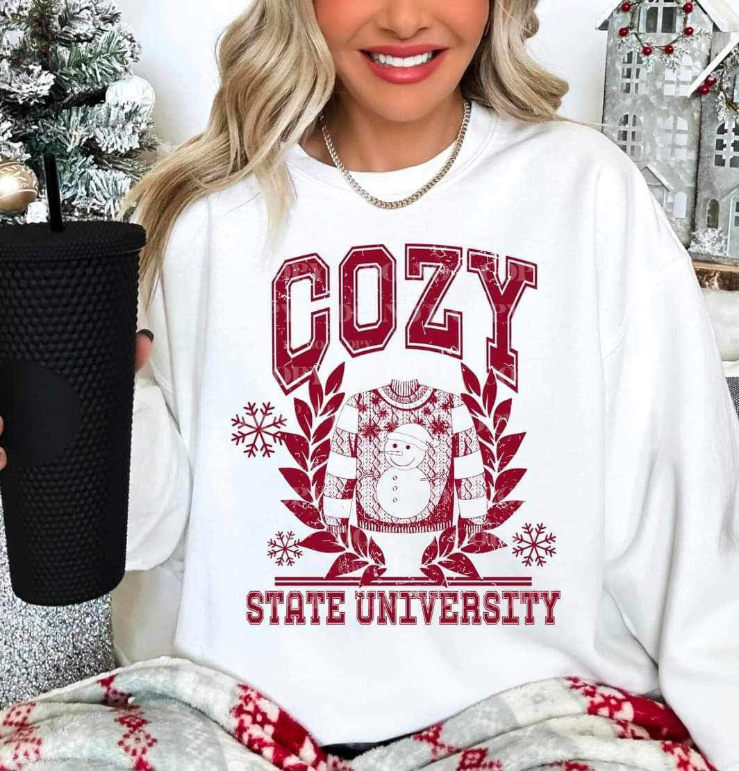 Cozy state university RED 16082 DTF Transfer