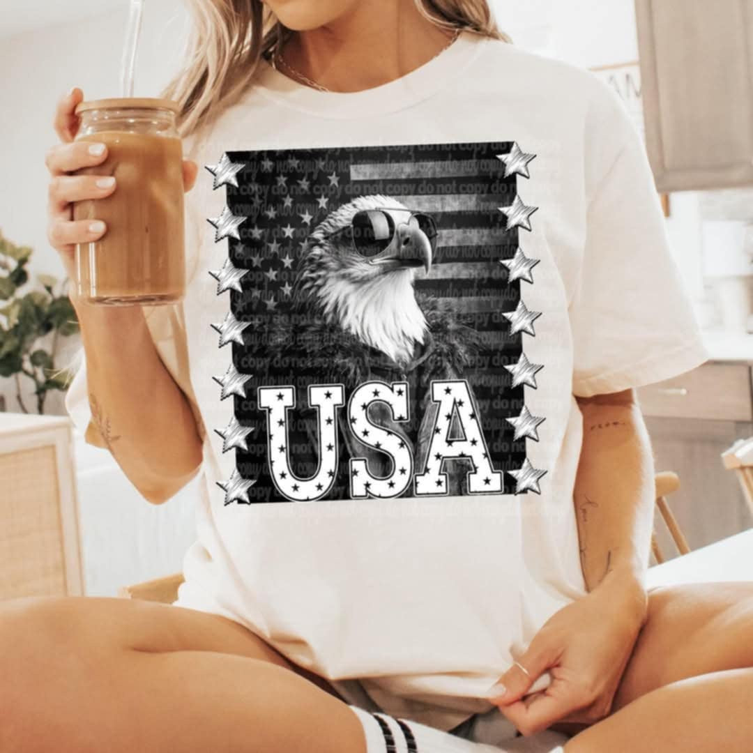 USA Eagle (TTD) 96389 DTF transfer