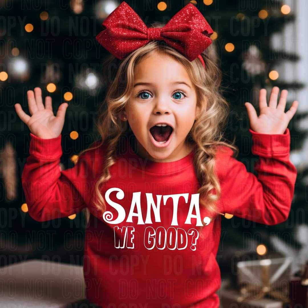 Santa we good WHITE (SBB) 16410 DTF Transfer