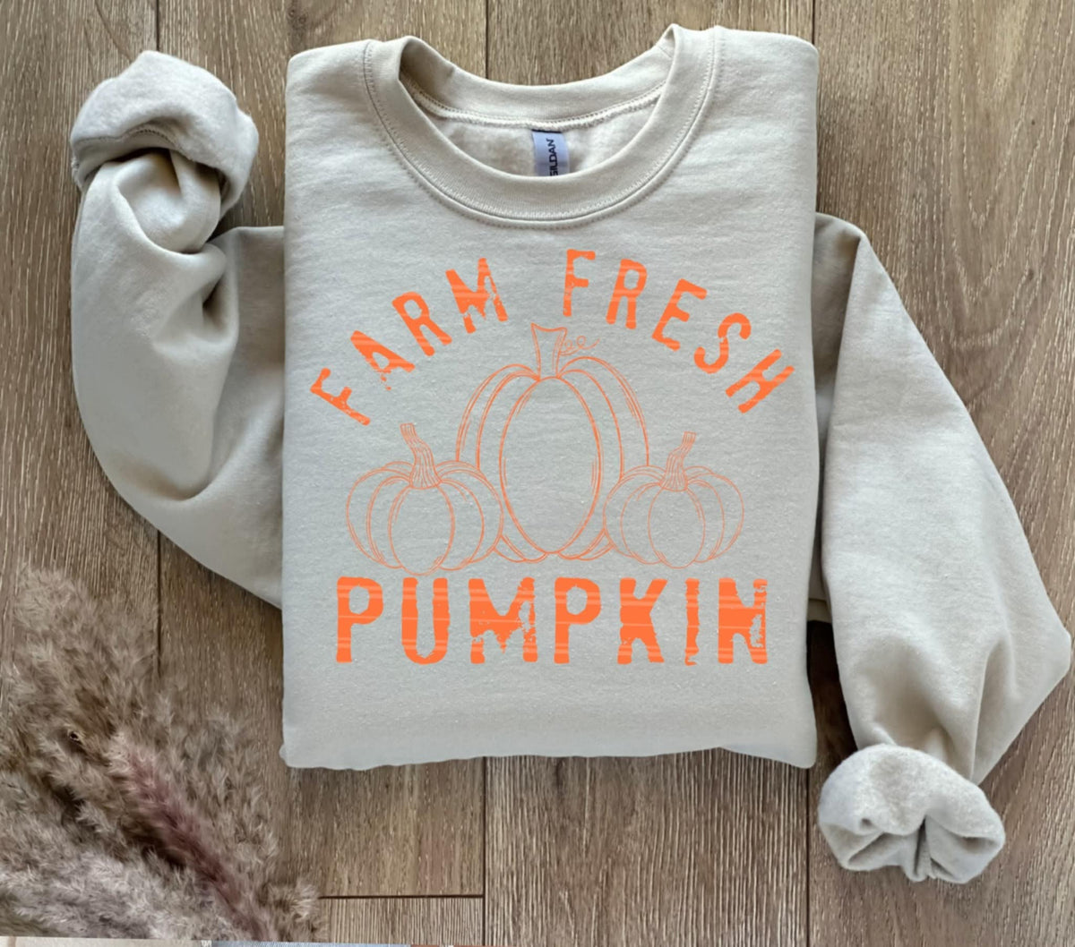 Farm Fresh Pumpkins ORANGE (Linda) DTF Transfer