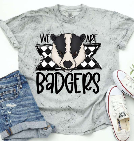 We are badgers (S&G) 36564 DTF transfer