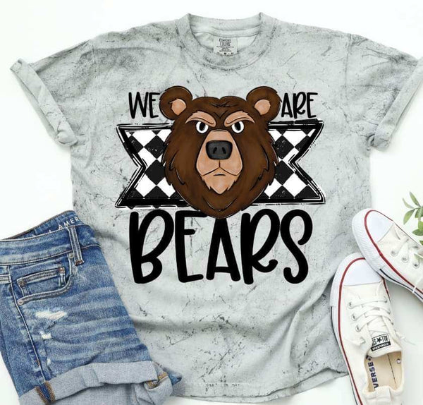 We are bears (S&G) 36558 DTF transfer