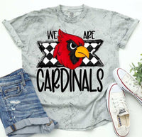 We are cardinals (S&G) 36550 DTF transfer