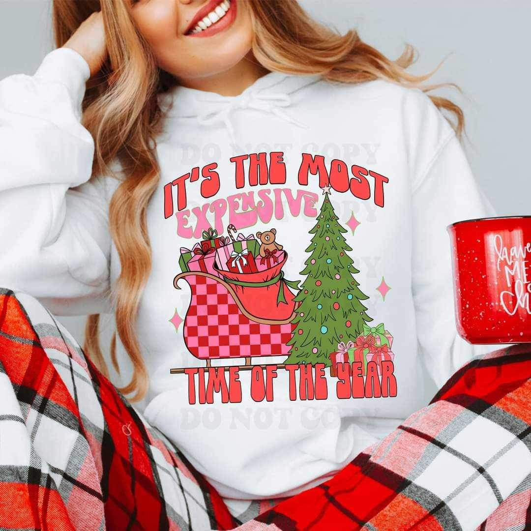 Its the most expensive time of the year sleigh and tree (VIRGO) 16844 DTF Transfer