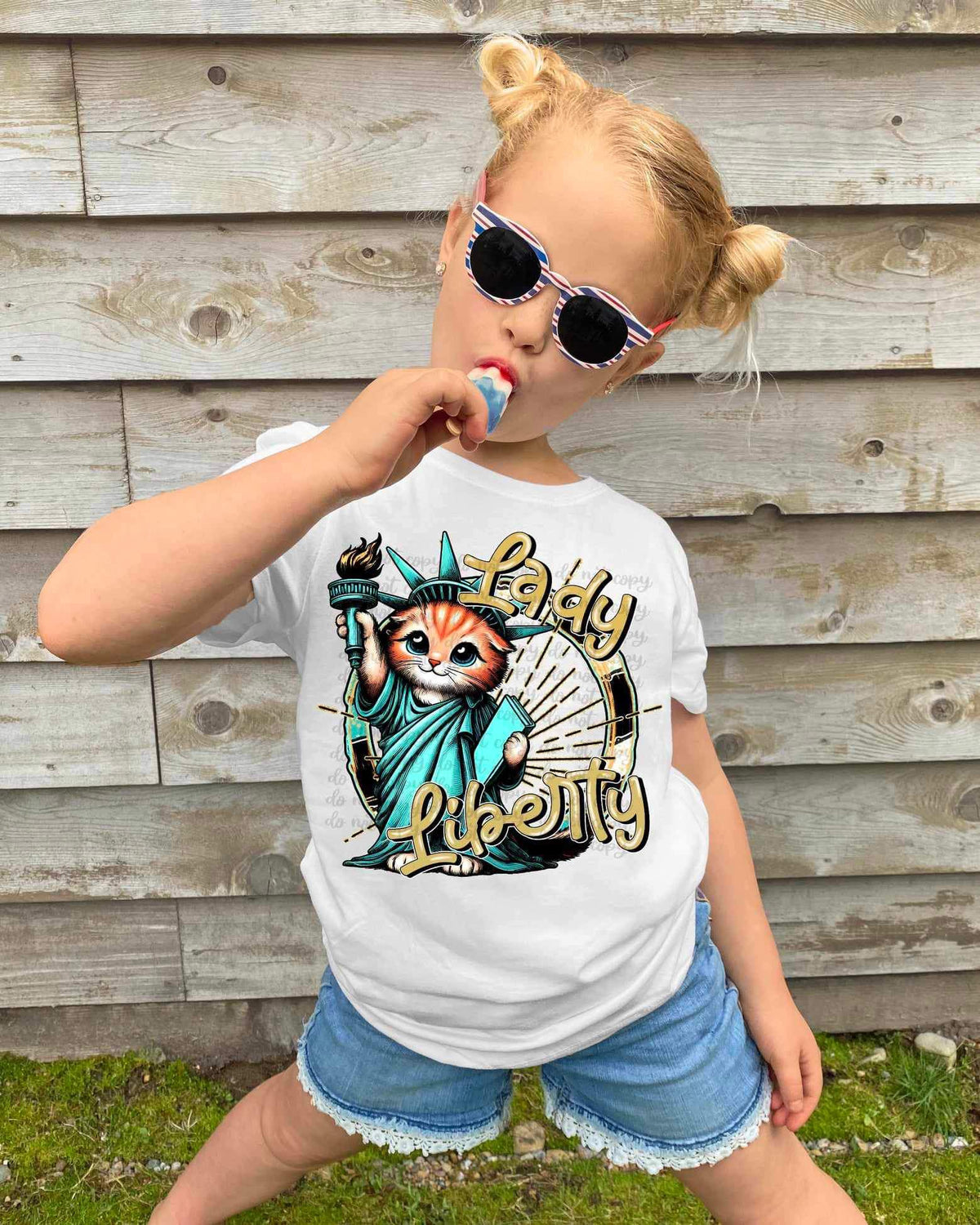 Lady liberty cat 26520 DTF transfer
