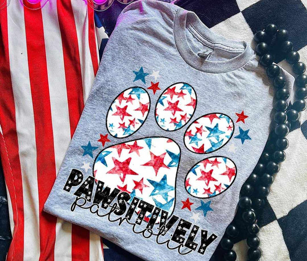 Pawsitvely patriotic (CMLD) 36749 DTF transfer