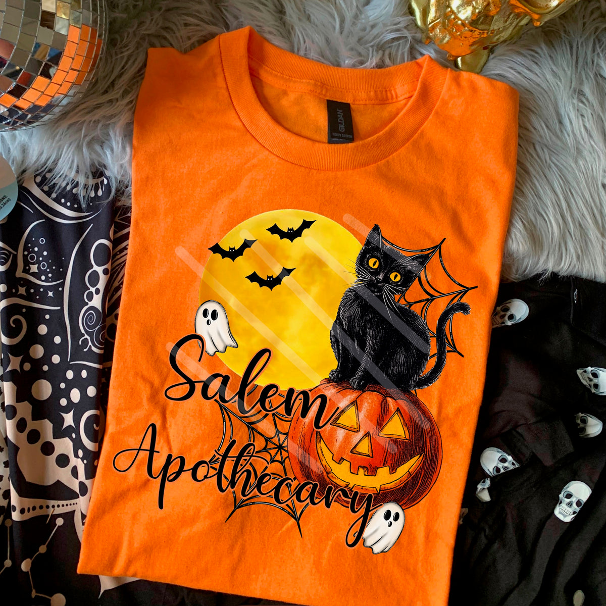 Salem Apothecary black cat and moon 110796 DTF transfer