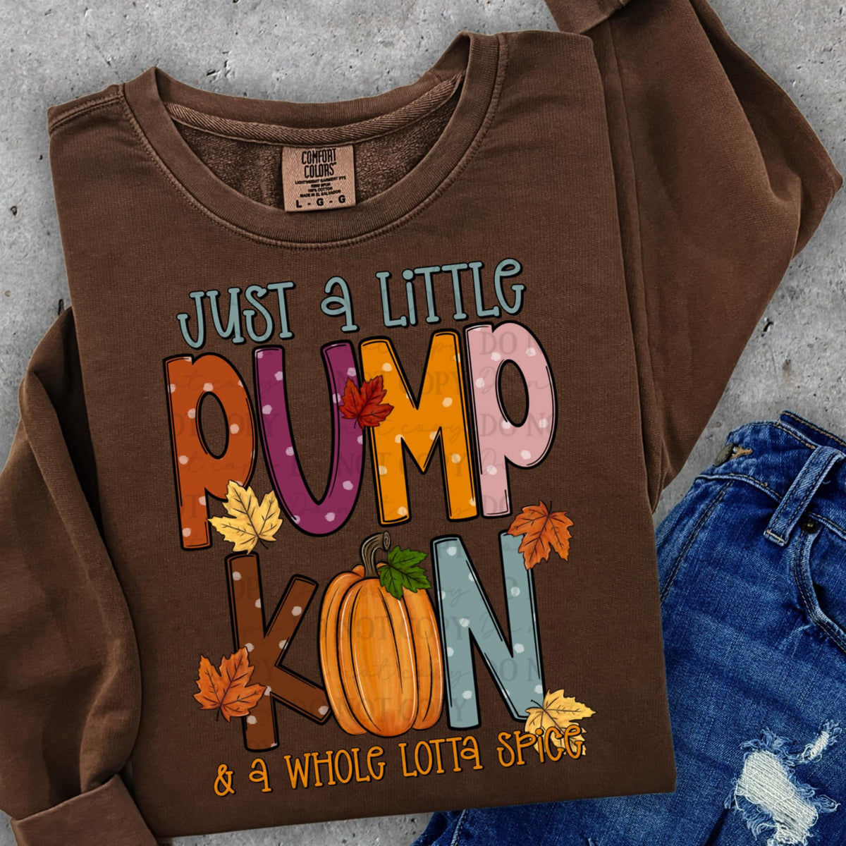 A little pumpkin and a whole lot of spice ABD DTF transfer