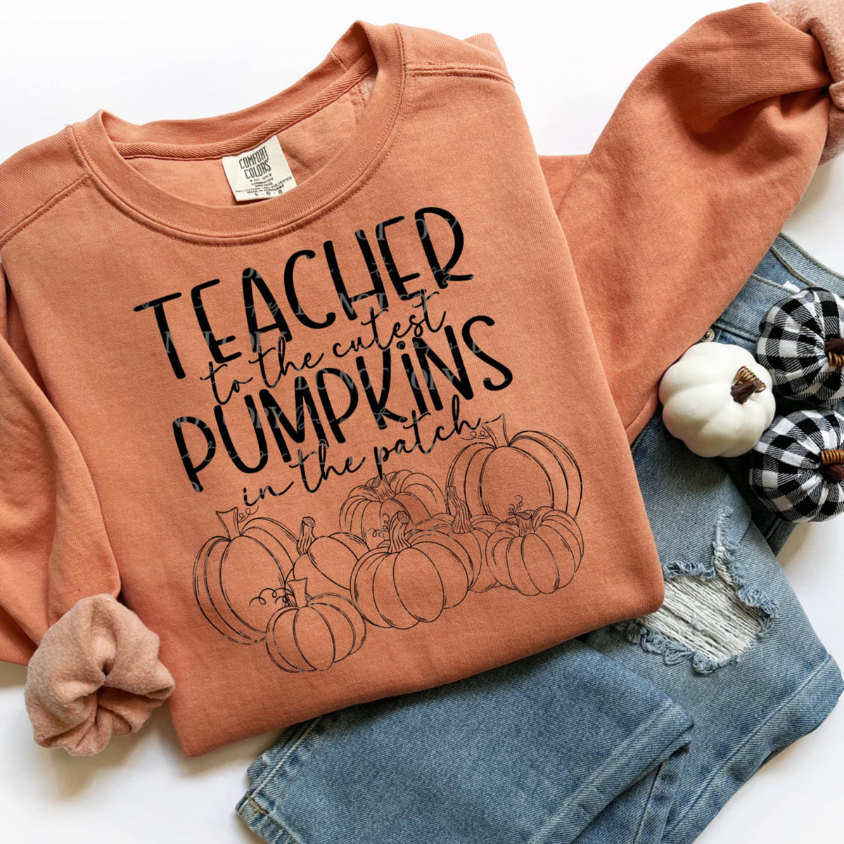 Teacher to the cutest pumpkins ABD DTF transfer