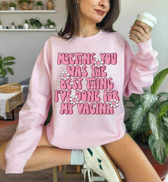 Meeting you was the best thing ive done for my vagina pink LYTTLE 17101 DTF TRANSFER