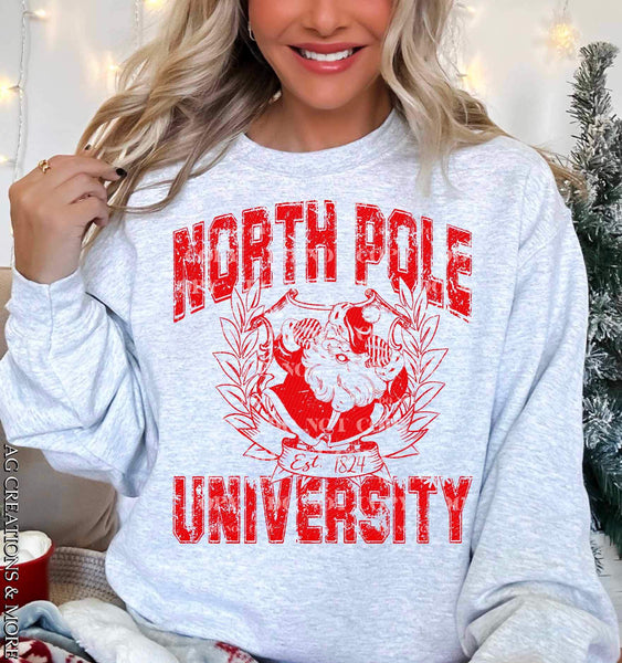 North pole university RED AG 17423 DTF TRANSFER