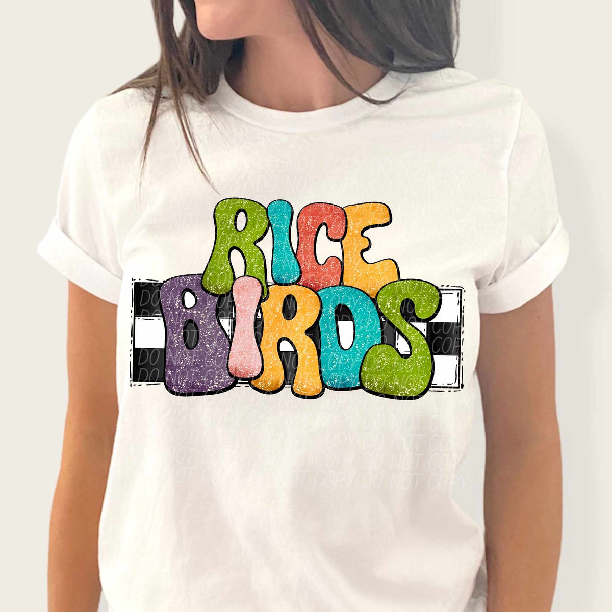 Rice birds multicolor with checkered background (CITY) 37246 DTF transfer
