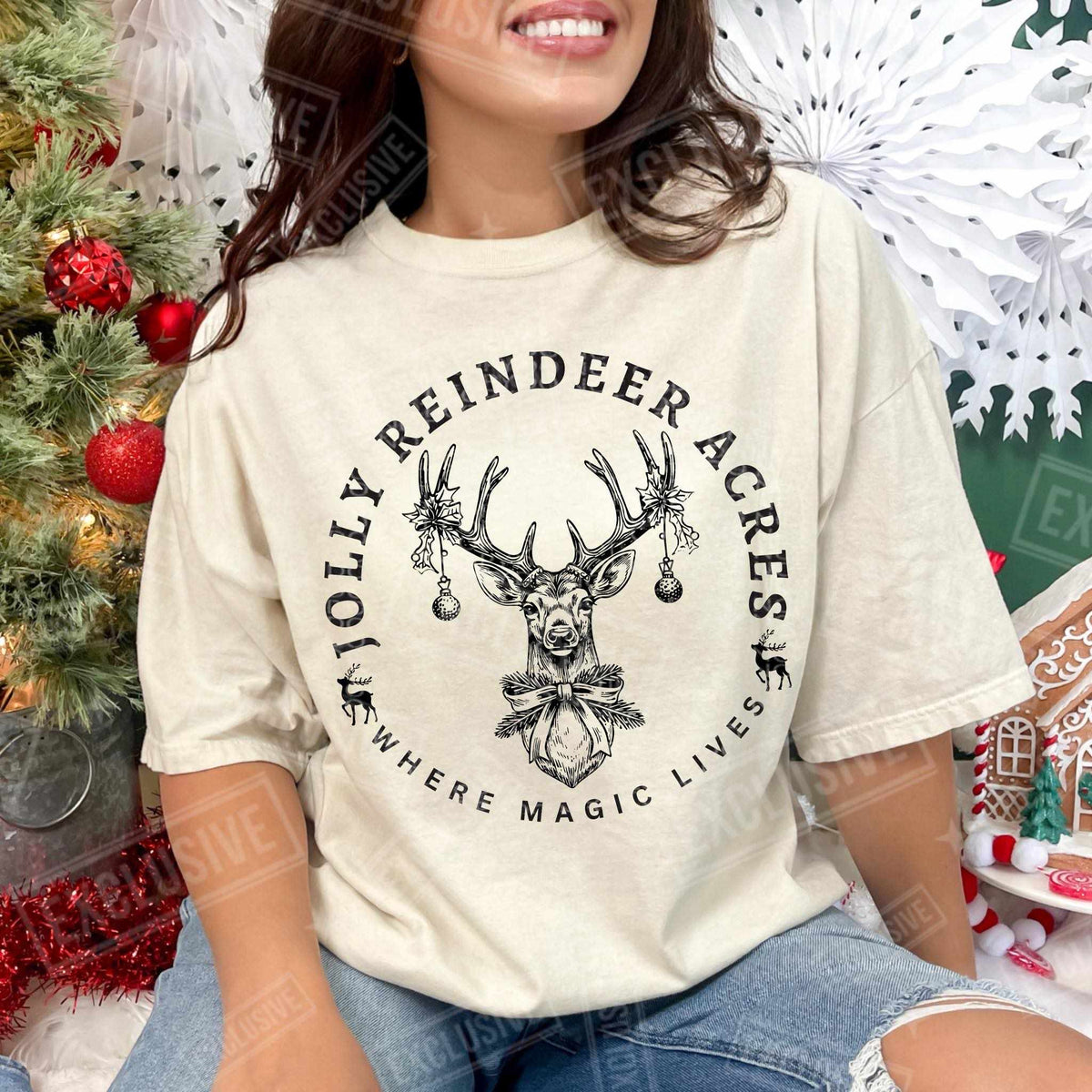 Jolly reindeer acres exclusive (HW) 60154 DTF transfer