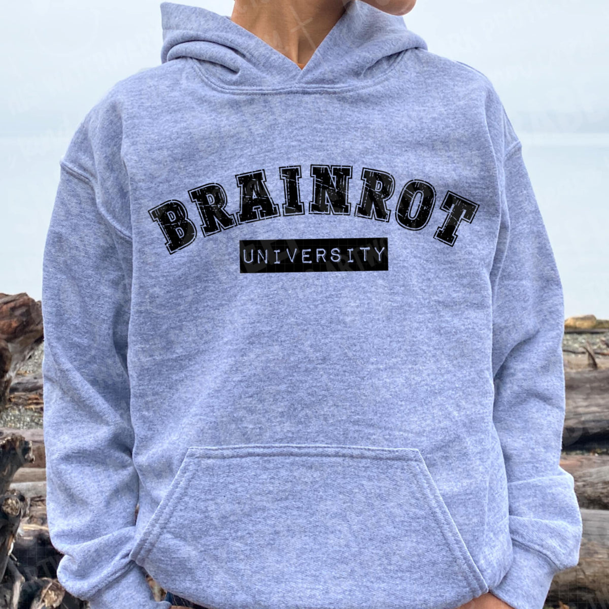 Brainrot University 111577 DTF transfer