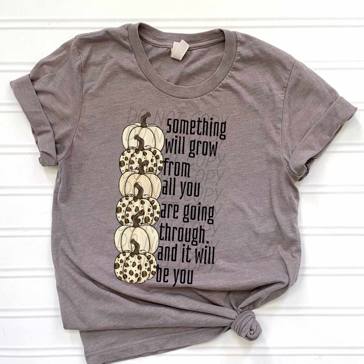 Something will grow from all you are going through. And it will be you WHITE pumpkins (CITY) 37858 DTF transfer