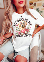 My dog is my valentine golden retriever 19361 DTF Transfer