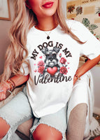 My dog is my valentine schnauzer 19357 DTF Transfer