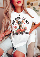 My dog is my valentine Doberman 19356 DTF Transfer