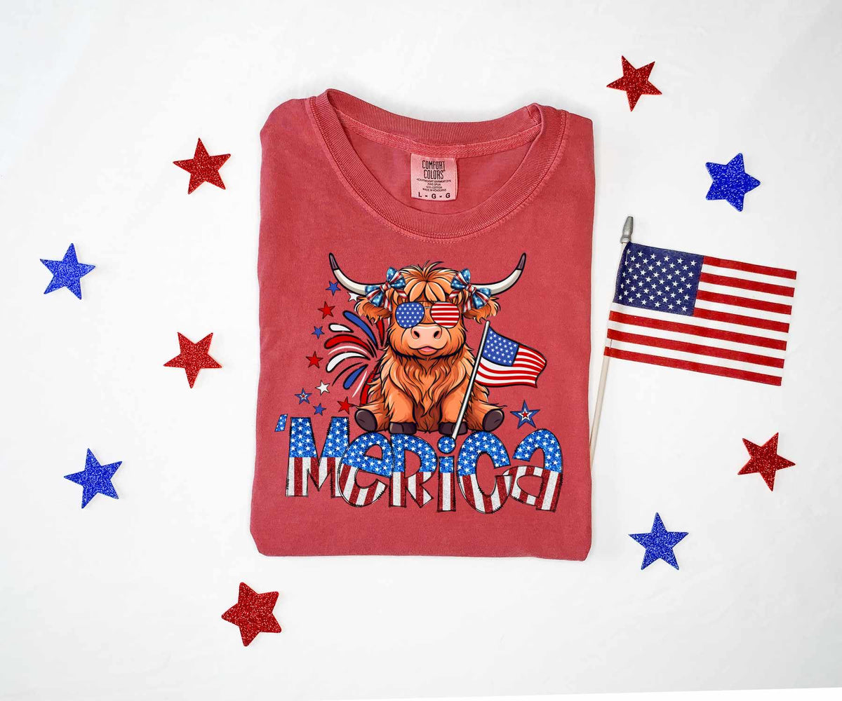 ‘Merica shaggy cow 27279 DTF transfer
