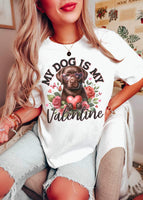 My dog is my valentine chocolate lab 19342 DTF Transfer