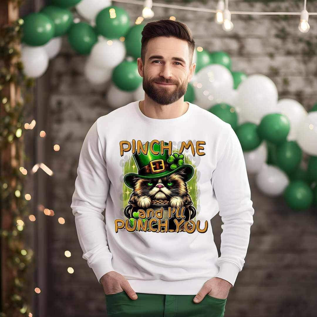 Pinch me and ill punch you cat 19899 DTF TRANSFER