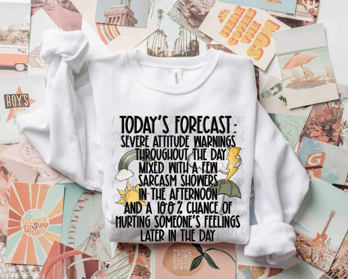 Todays forecast severe attitude warnings 19953 DTF TRANSFER