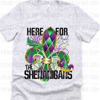 Here for the shenanigans 20114 DTF Transfer