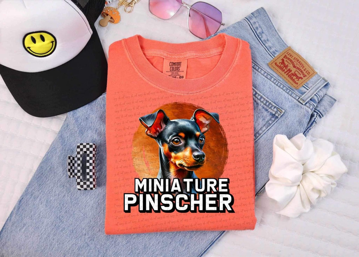 Miniature pinscher DTF transfer 13836