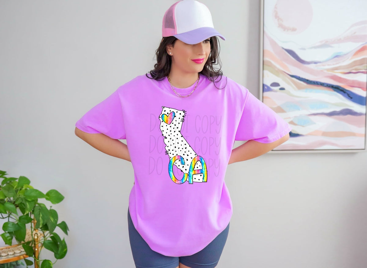 CA dotted with rainbow font 29558 DTF transfer
