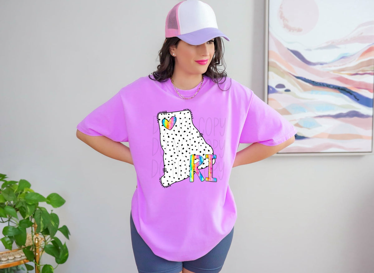 RI dotted with rainbow font 29533 DTF transfer