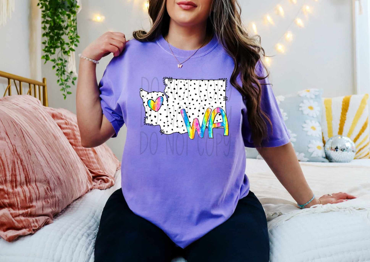 WA dotted with rainbow font 29518 DTF transfer