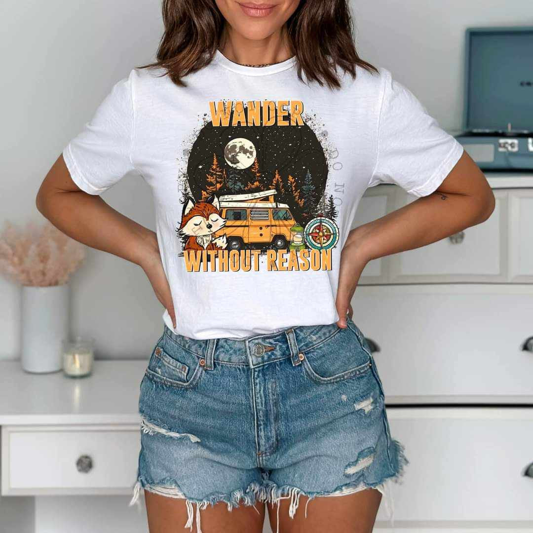 Wander without reason (FDCD) 29706 DTF transfer